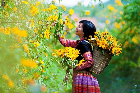 Mộc Châu Mùa Nào Là Đẹp Nhất? Mộc Châu Mùa Nào Là Đẹp Nhất?